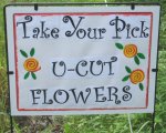 Take Your Pick Flower Farm Take Your Pick Flower Farm