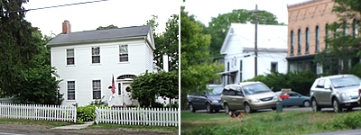 lions_icecream_fed_brick400