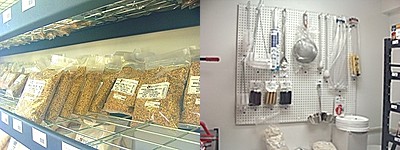Beer brewing supplies and classes are a feature of the store hsa_beer