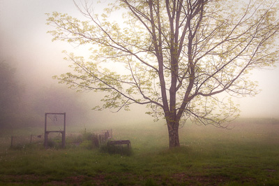 martinrmiller_whygoout_02