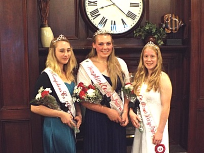 dairyprincess 400