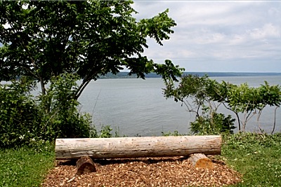 Salt Point