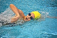 swim v11i37 1