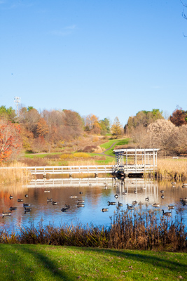 Monroe Plantations 8388