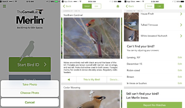 merlinbirdapp