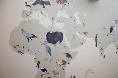 monroe Ornitholoy 26