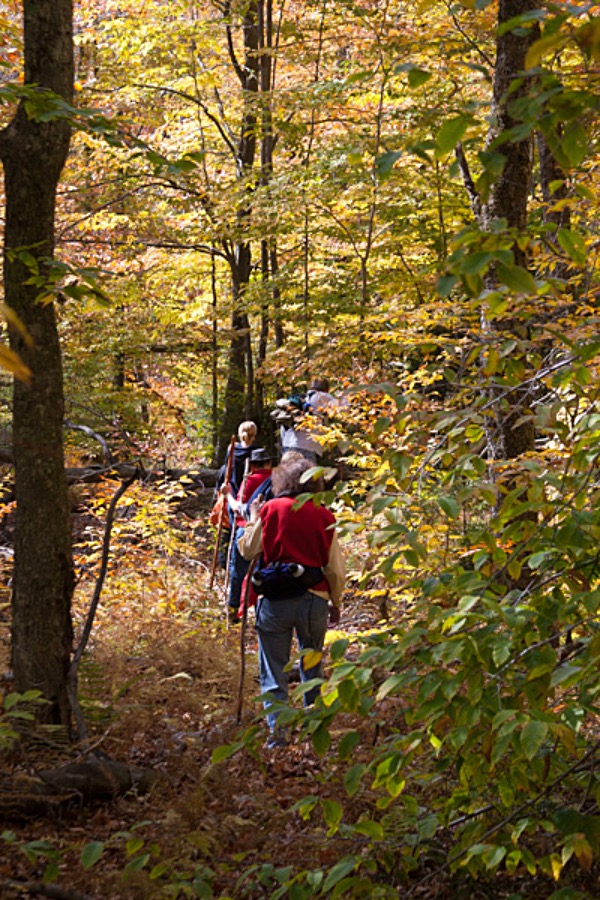 monroe waldheim hiking