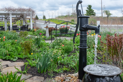 mp Pumpkin Hill 0299