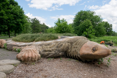 withinreach Gaia the Turtle 0600