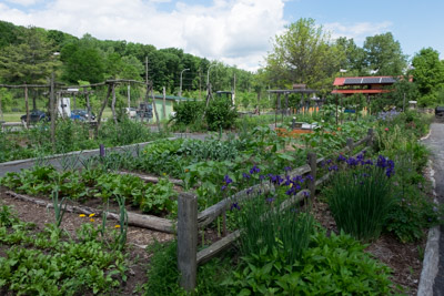 withinreach The Garden 0602