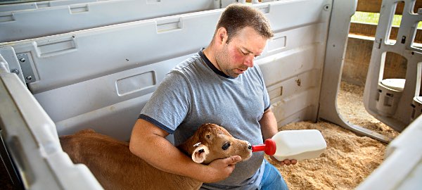 Nate Chittenden, Dutch Hollow Farm. Photo by Jason Koski, Cornell University cornell Chittenden1
