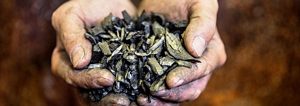 cornell KilnOpensLehmann A