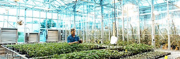 cornell agritech JM4 1933