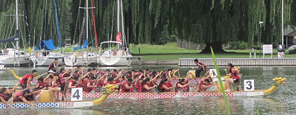 dragonboat crpd