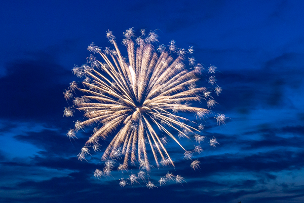 Lansing Fireworks - Diane Duthie