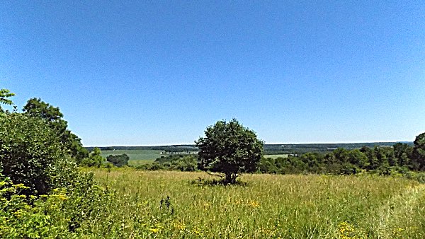 Pozzolana Park Today Pozzolana Park