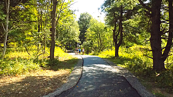 Walkways connect all the village pathways north of Route 13, including this one that meanders through the woods to Dart Drive Village of Lansing Dedicates Three Parks