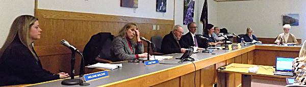 Zoning Board of Appeals