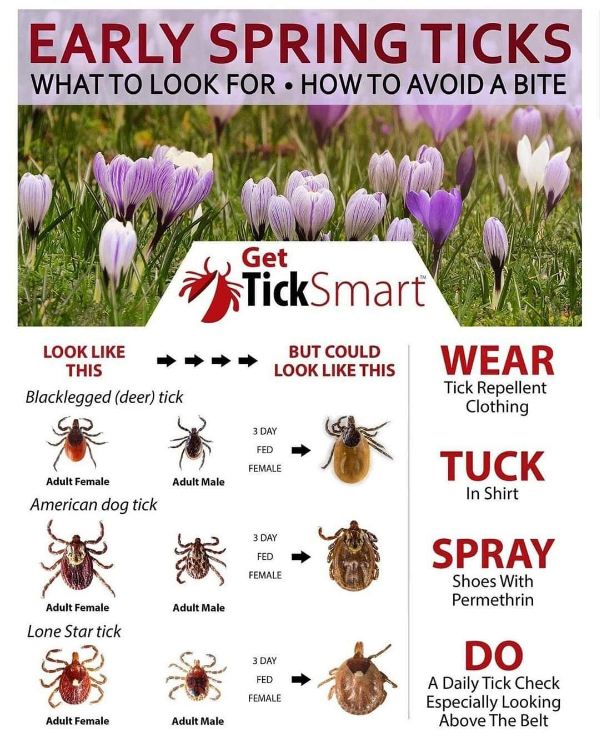 helming Tick info